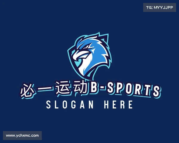 解读必一运动b-sports
